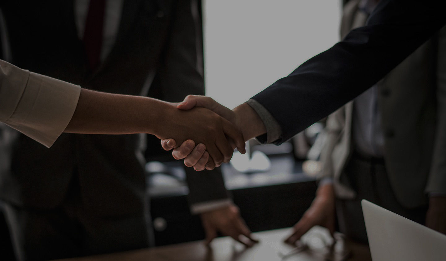 Two people shaking hands